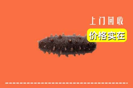 丰宁县回收海参